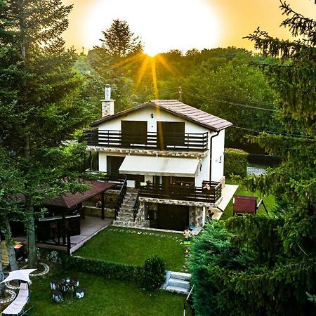 Вила Теkето I Vila Teketo Family Guest House Nikolovo Dış mekan fotoğraf