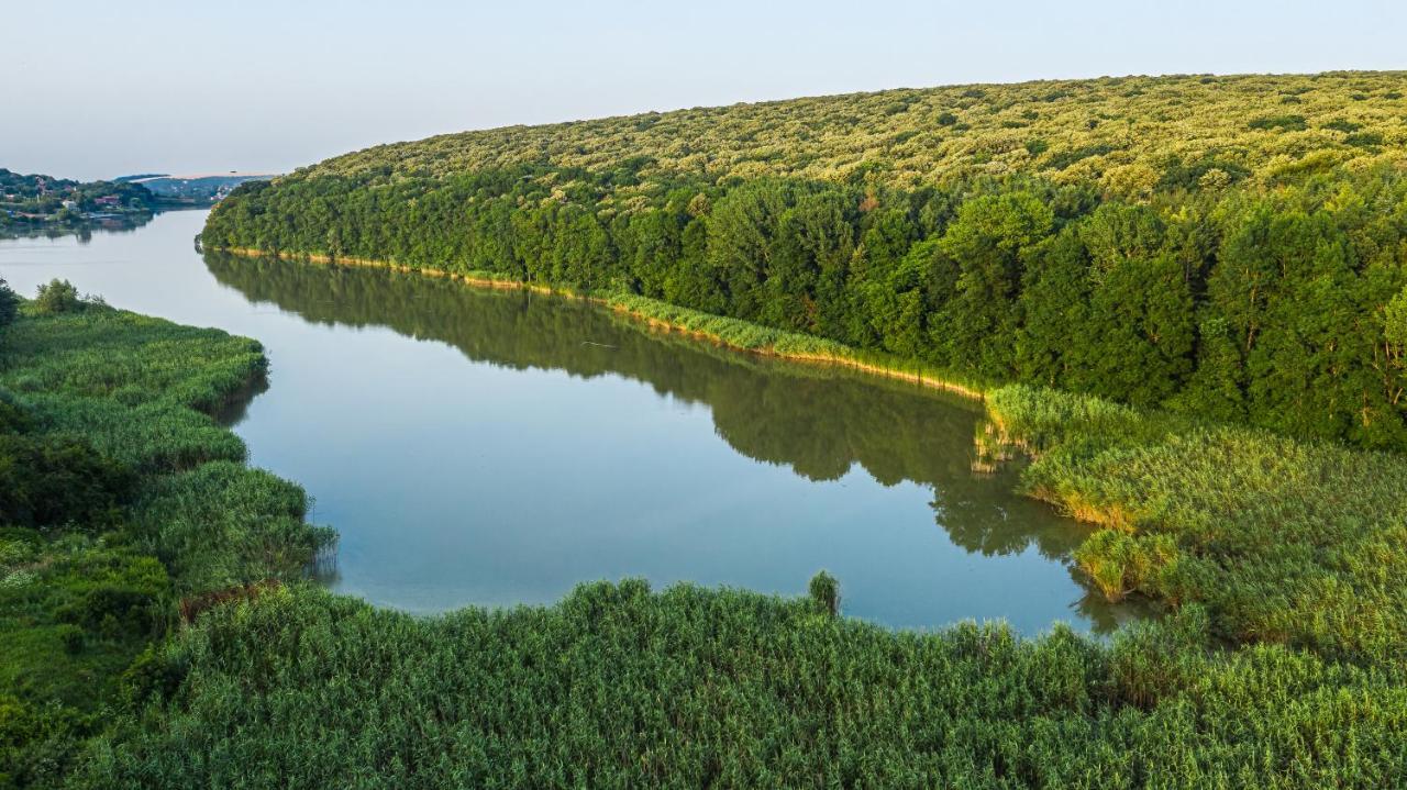 Вила Теkето I Vila Teketo Family Guest House Nikolovo Dış mekan fotoğraf